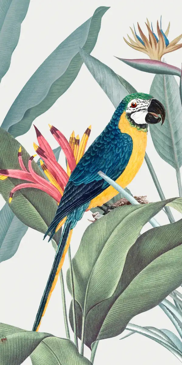Tropical Safari Parrots Wall Art