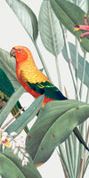 Tropical Safari Parrots Wall Art