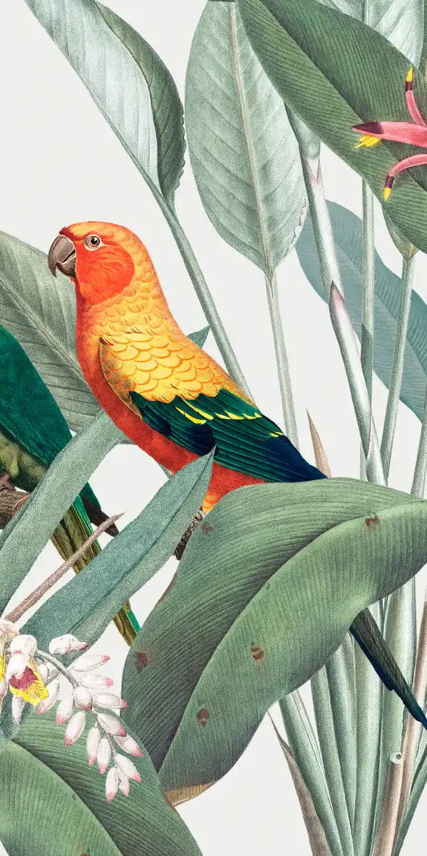 Tropical Safari Parrots Wall Art