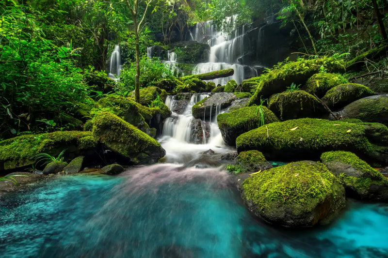 Tropical Waterfall Wall Art