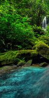 Tropical Waterfall Wall Art