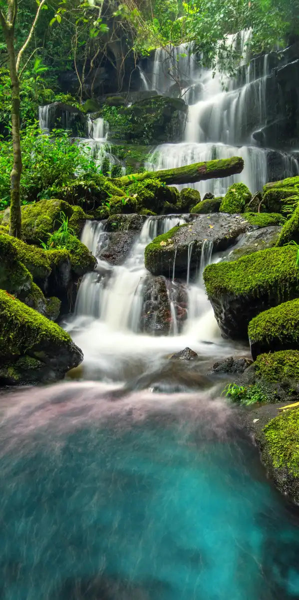 Tropical Waterfall Wall Art