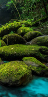 Tropical Waterfall Wall Art