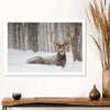 Snow Covered Elk Wall Art