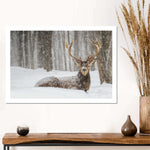 Snow Covered Elk Wall Art
