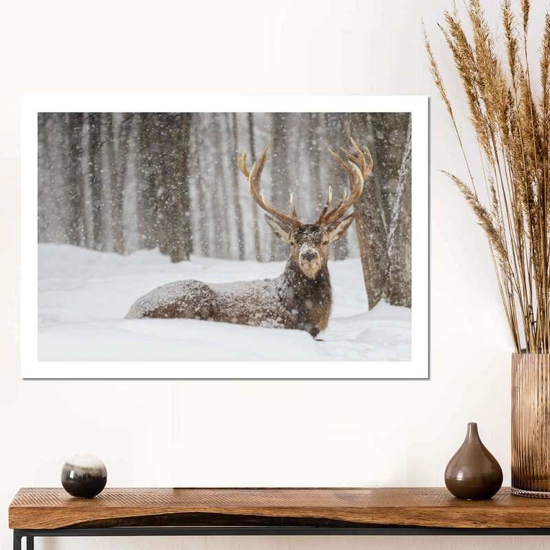 Snow Covered Elk Wall Art