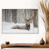Snow Covered Elk Wall Art