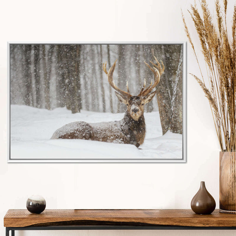 Snow Covered Elk Wall Art