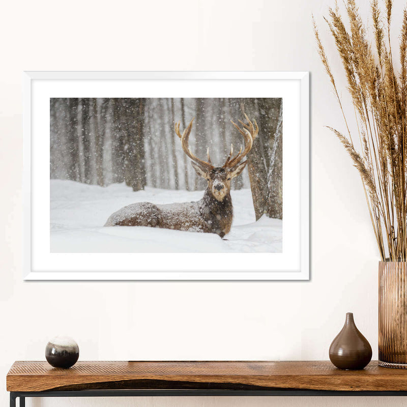 Snow Covered Elk Wall Art