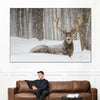 Snow Covered Elk Wall Art