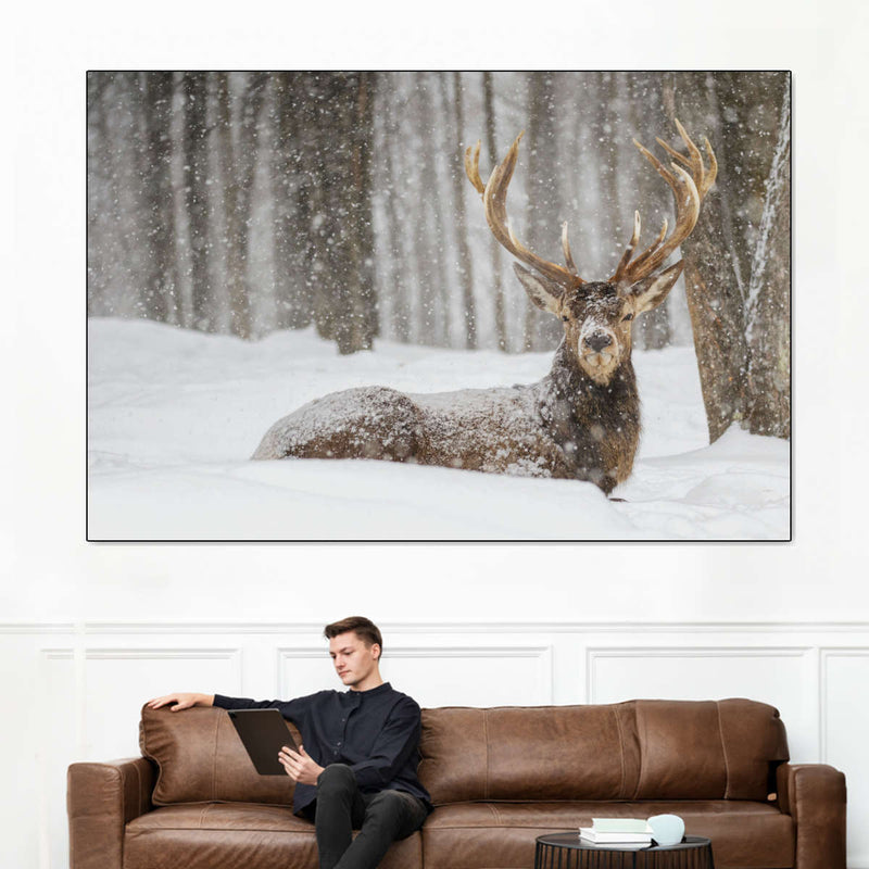 Snow Covered Elk Wall Art