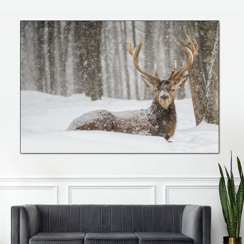Snow Covered Elk Wall Art