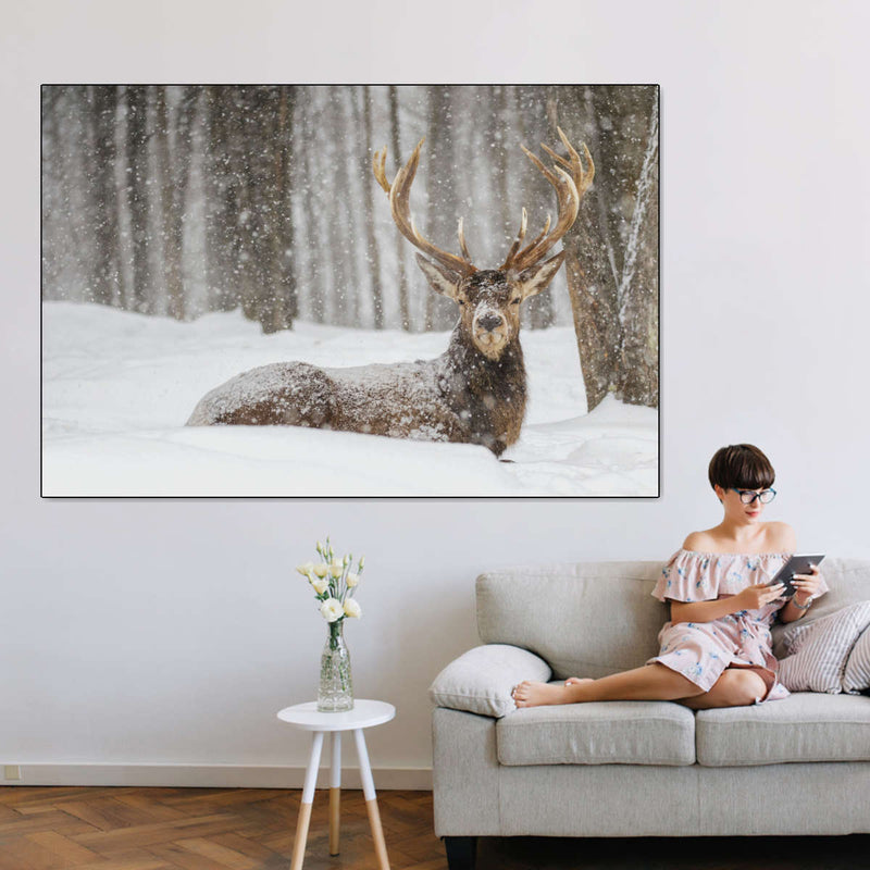 Snow Covered Elk Wall Art
