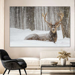 Snow Covered Elk Wall Art