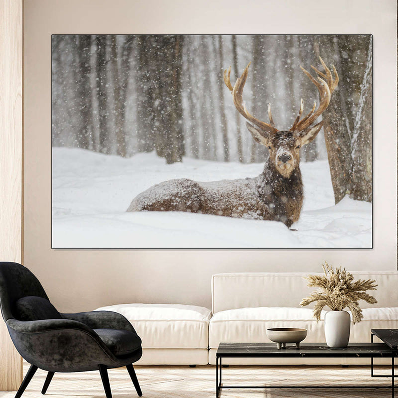 Snow Covered Elk Wall Art