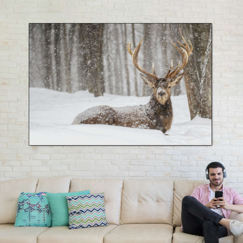 Snow Covered Elk Wall Art
