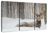 Snow Covered Elk Wall Art