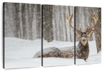 Snow Covered Elk Wall Art