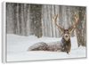Snow Covered Elk Wall Art
