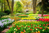 Tulips Flower Wall Art