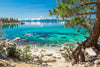 Turquoise Lake Tahoe Wall Art