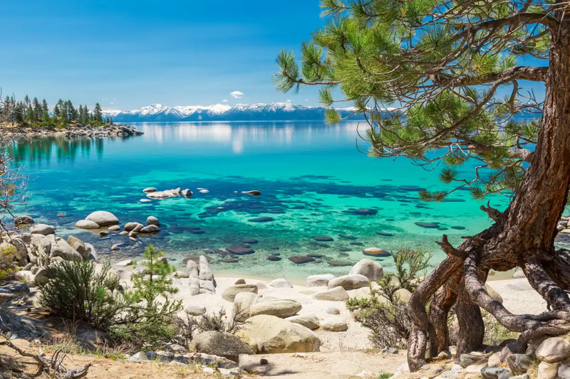 Turquoise Lake Tahoe Wall Art