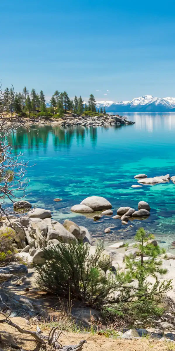 Turquoise Lake Tahoe Wall Art