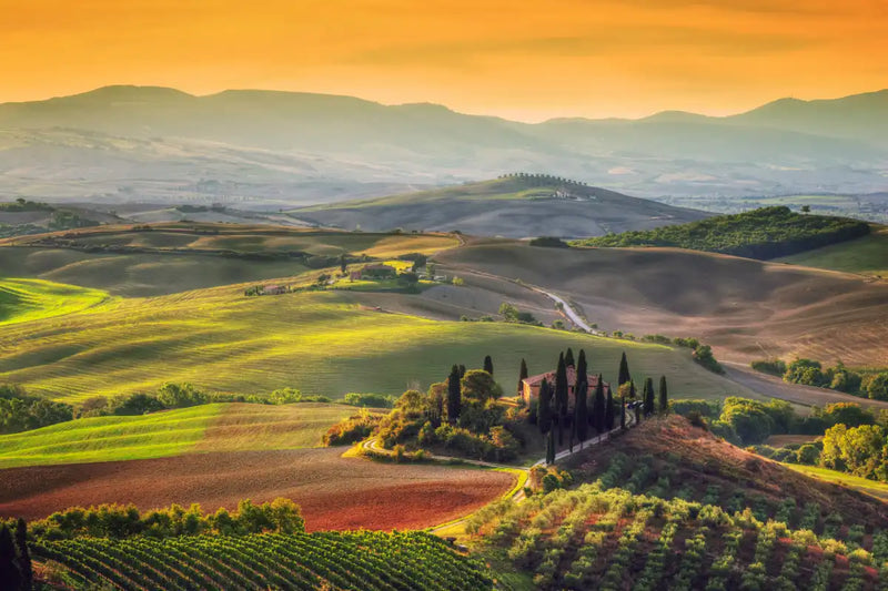 Tuscany At Dawn Wall Art