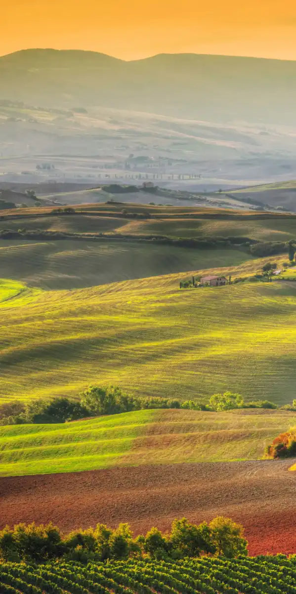 Tuscany At Dawn Wall Art