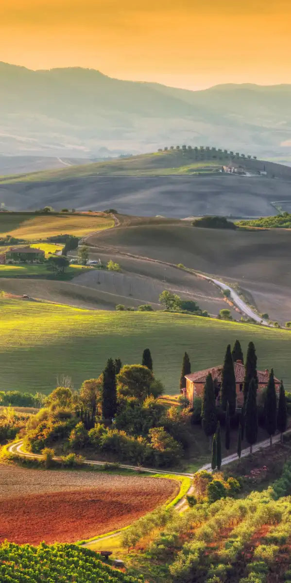 Tuscany At Dawn Wall Art