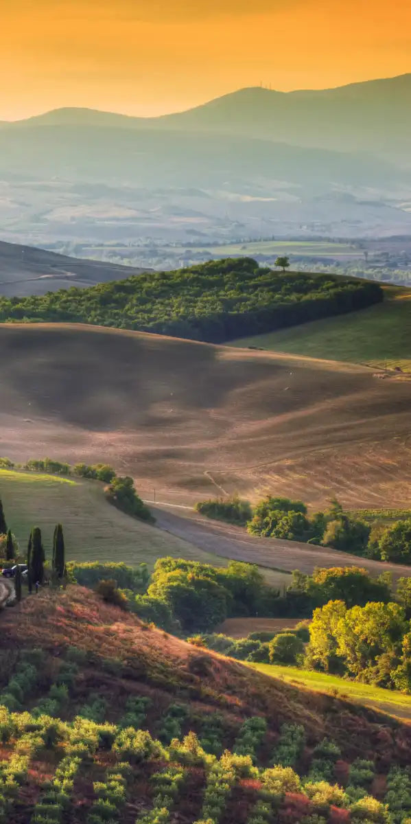 Tuscany At Dawn Wall Art