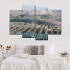 Tequila Jalisco Agave Field Wall Art
