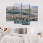 Tequila Jalisco Agave Field Wall Art
