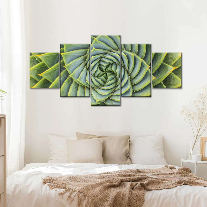 Spiral Succulent Wall Art