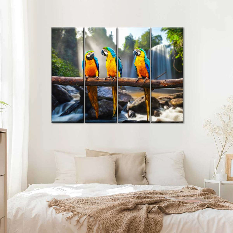 Macaw Friends Wall Art