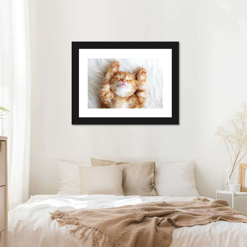 Sleepy Kitty Wall Art