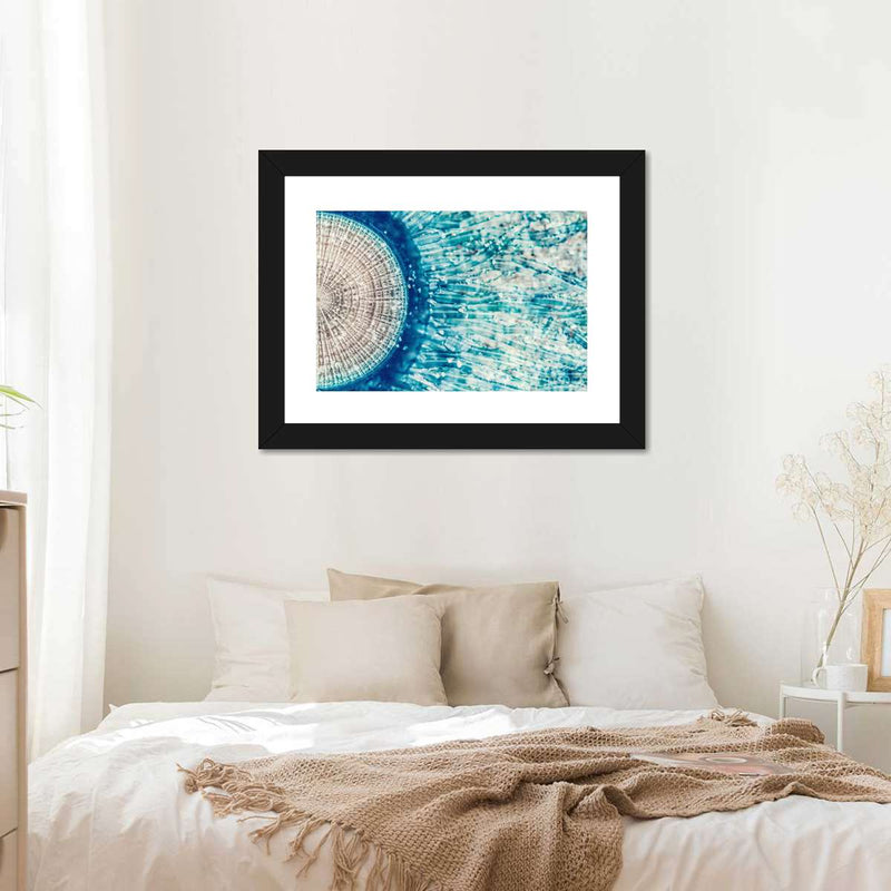 Jellyfish Details Wall Art