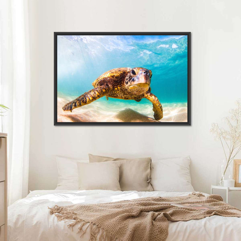 Hawaiian Turtle Wall Art