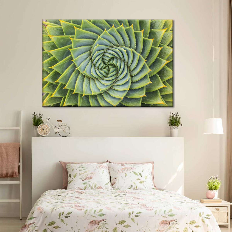 Spiral Succulent Wall Art