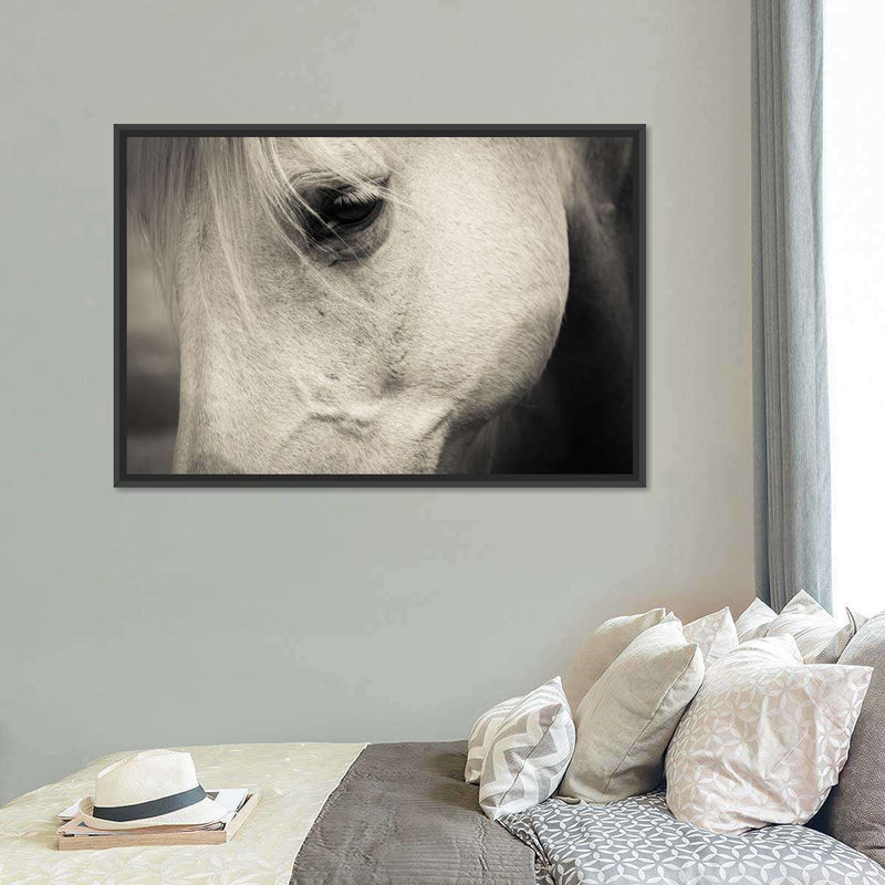White Horse Eye Wall Art