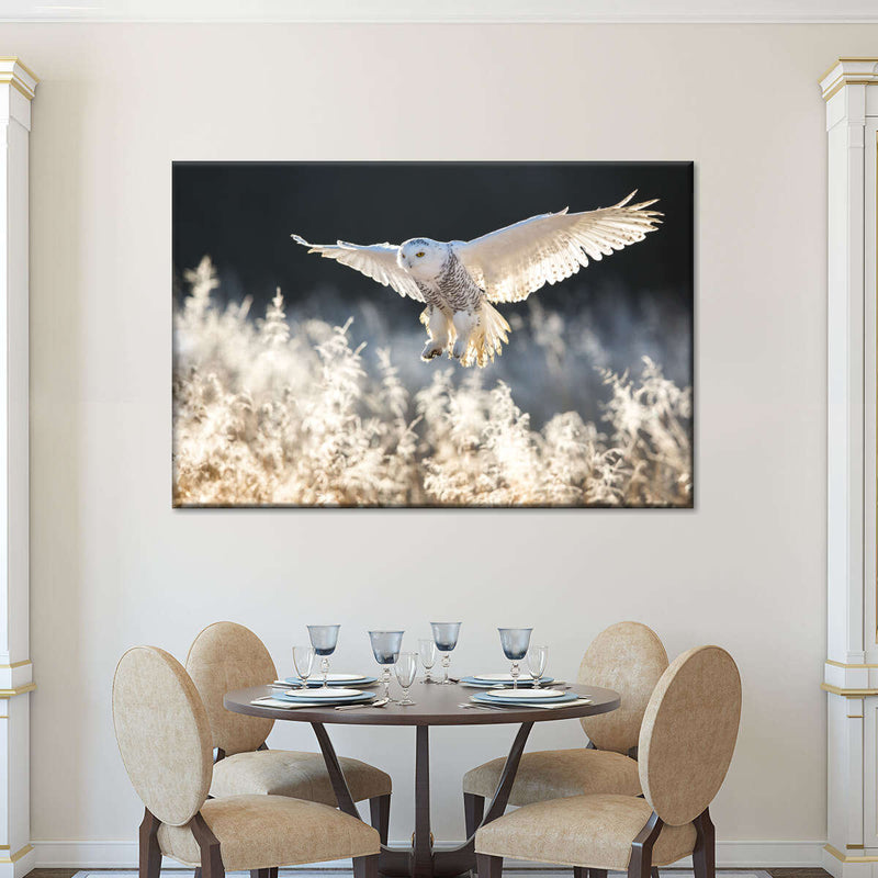 Snowy Owl Hunt Wall Art
