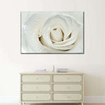 White Rose Close Up Wall Art