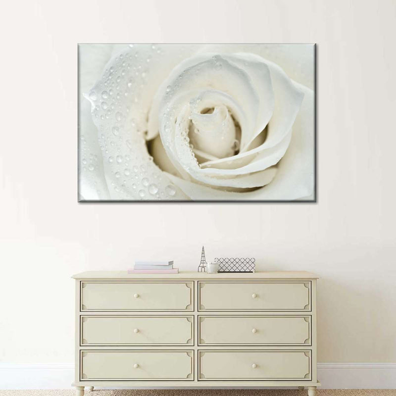White Rose Close Up Wall Art