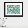 Succulent Plant Bloom Wall Art