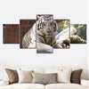 Resting White Tiger Wall Art