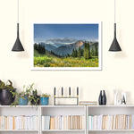 Rocky Mountain National Park Meadow Wall Art