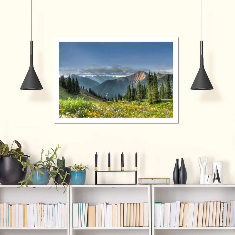Rocky Mountain National Park Meadow Wall Art
