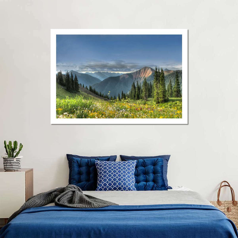 Rocky Mountain National Park Meadow Wall Art