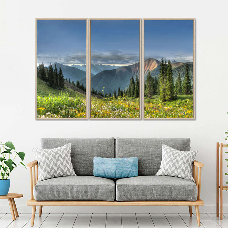 Rocky Mountain National Park Meadow Wall Art