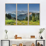 Rocky Mountain National Park Meadow Wall Art